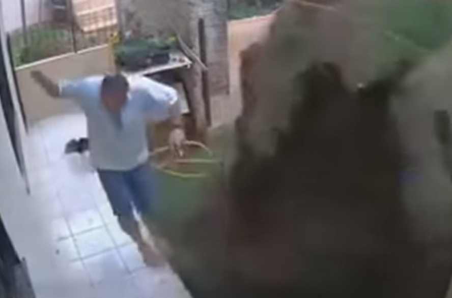 Hombre decide explotar su jardín para acabar con las cucarachas