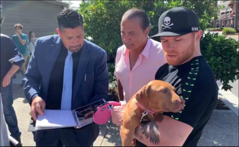 “Canelo” Álvarez recibe de regalo un cachorro pit bull terrier con valor aproximado de 3 millones de pesos