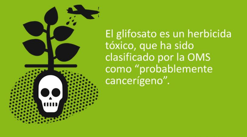Gobierno de AMLO prohíbe entrada de glifosato a México por causar cáncer