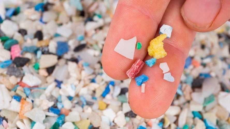 Joven descubre como eliminar microplásticos del mar; gana premio de Google