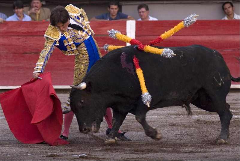 PES busca prohibir corridas de toro y peleas de gallos en Puebla