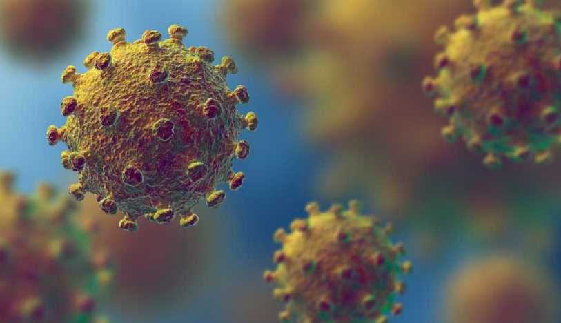 Salud llama a población a no caer en pánico por posible brote de coronavirus