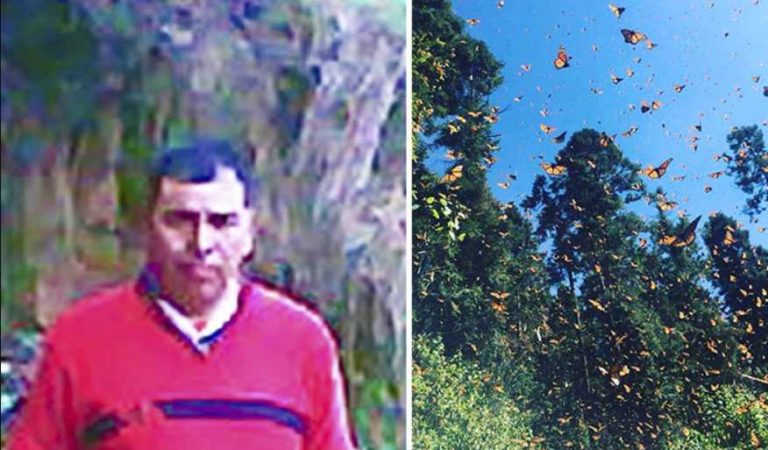 Encuentran muerto a segundo defensor de mariposa monarca en Michoacán