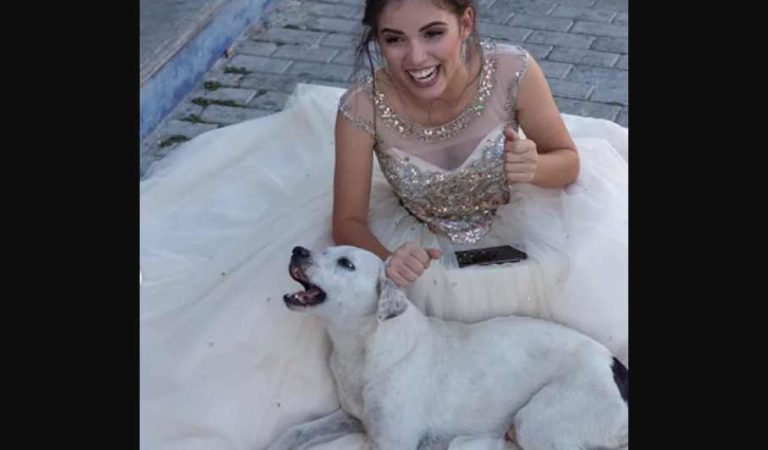 Perro callejero se vuelve viral por colarse en fotos de quinceañera