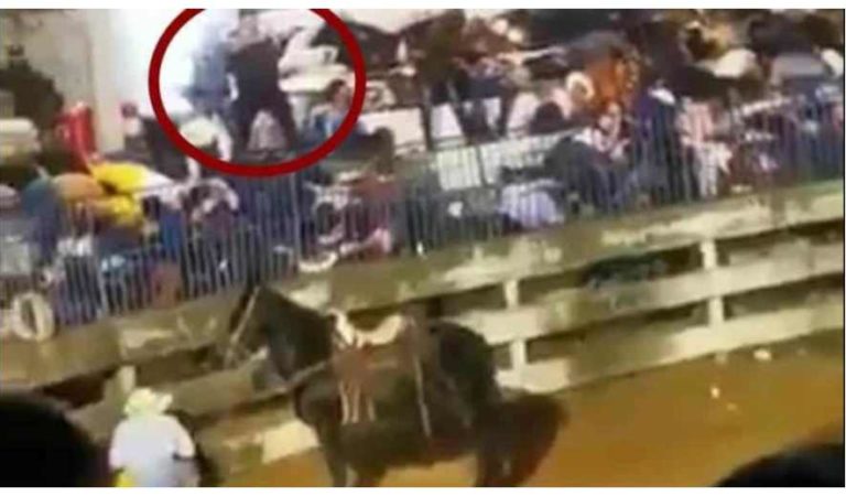 Terror en Iguala: comando armado irrumpe a balazos en corrida de toros | VIDEO