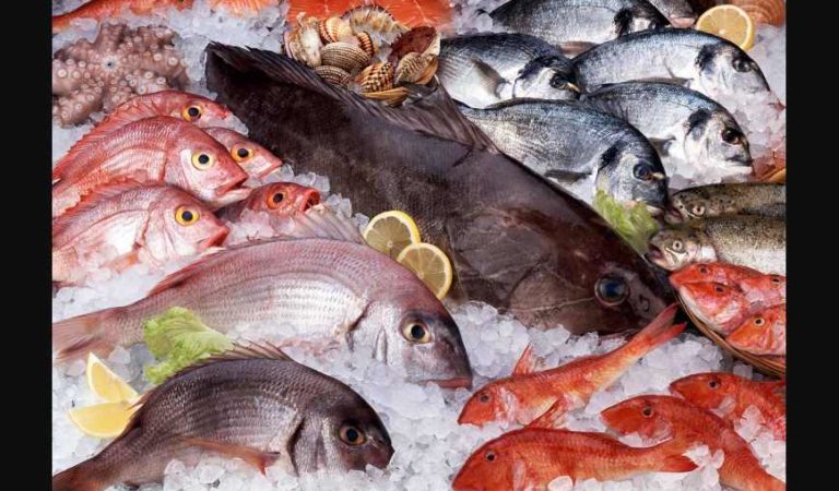 Fraude de cuaresma: en muchos supermercados compras pescado, pero la mayor parte solo es hielo