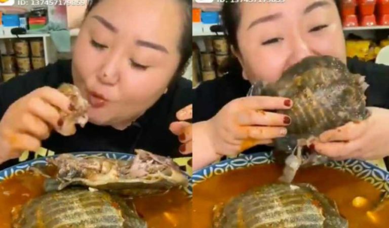 Mujer devorando tortuga causa indignación en redes sociales | VIDEO