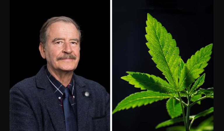Vicente Fox reaparece y presume plataforma sobre mariguana medicinal