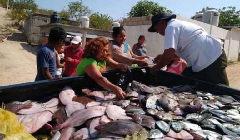 Pescadores donan pescado fresco a familias pobres ante pandemia en Oaxaca