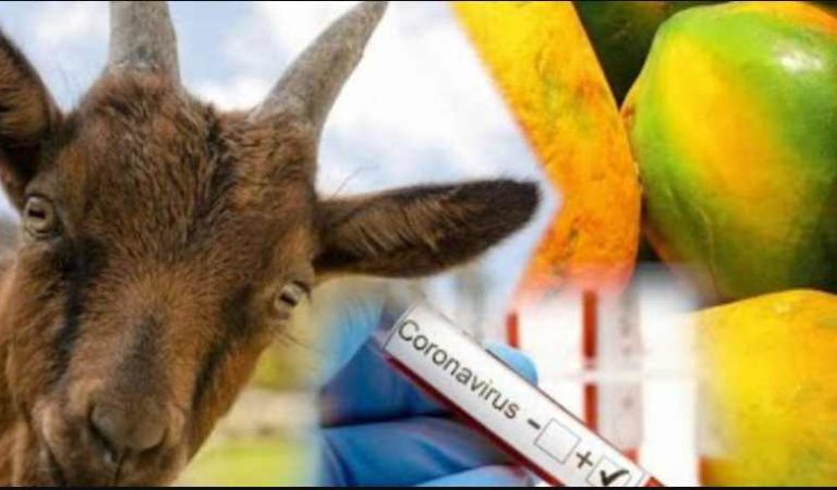 Tanzania envía pruebas de frutas y animales a laboratorio; dan positivo a coronavirus
