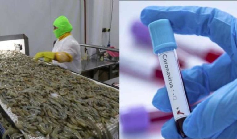 China suspende importación de camarones provenientes de Ecuador; detectan COVID-19 en envases