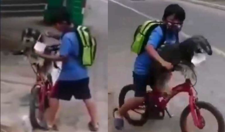 Niño se vuelve viral por proteger a su perrito con cubrebocas mientras van a la tienda | VIDEO