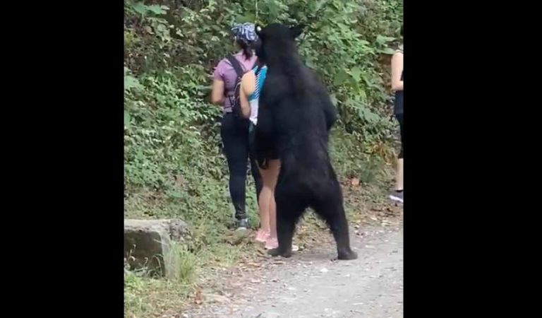 Video de oso acercándose a mujer en parque ecológico de NL se viraliza