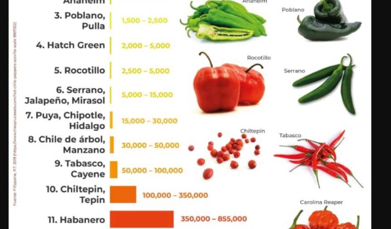 Gobierno de AMLO reconoce valor del chile: ‘entre más picoso, más sabroso’